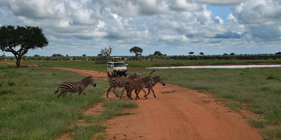Mini-safari nello Tsavo Est
